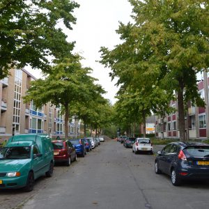 Huidige situatie