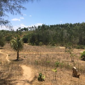 Context: Bomani, Kifili County
