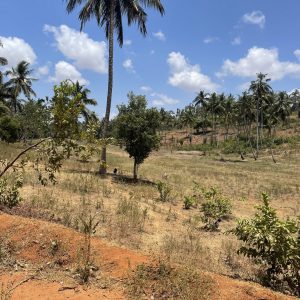 Context: Bomani, Kifili County